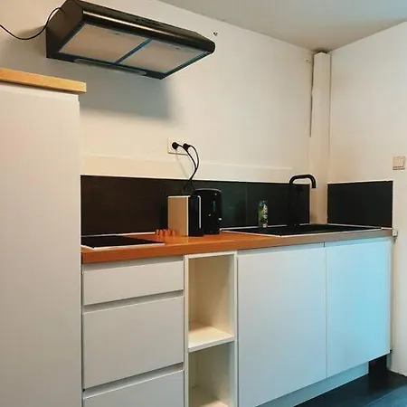 Historic Serenity Apartment Ghent